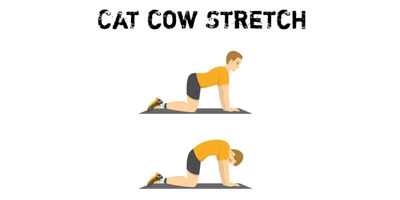 Cat-Cow-Stretch