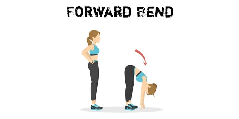 Forward Bend