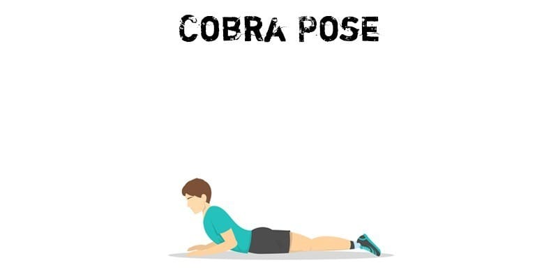 Cobra-Pose