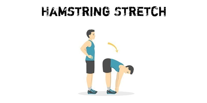 Hamstring Stretch