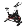 Heavyweight Spin Bike