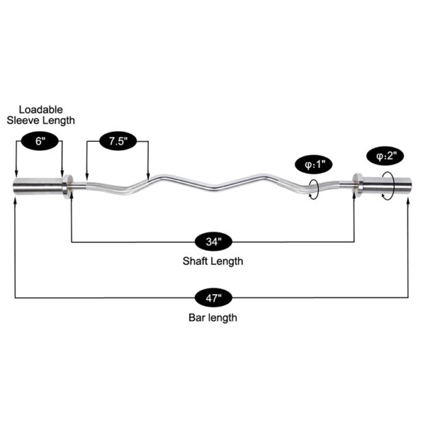 Olympic EZ Curl Bar Size