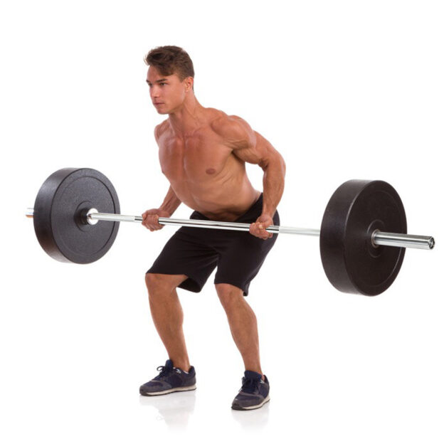 Olympic Barbell Male