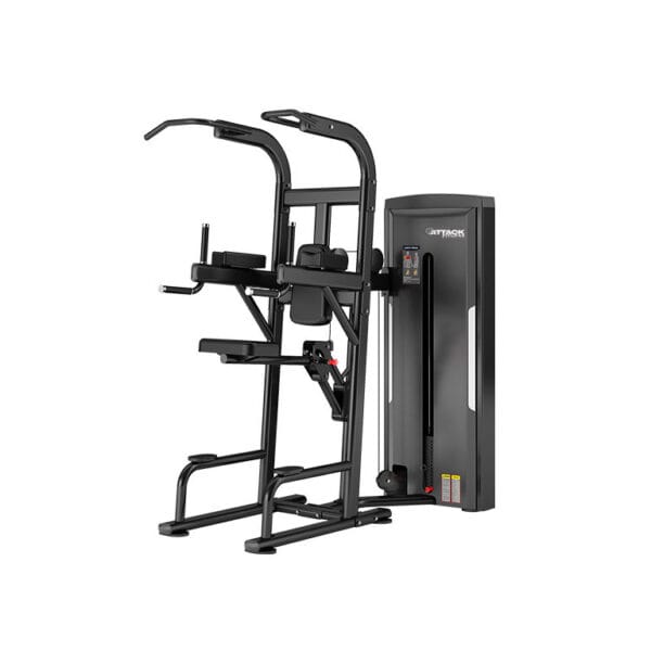 Attack Strength Easy Chin/Dip Dual Machine