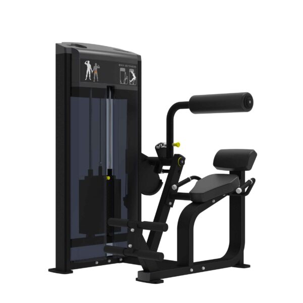 Pro Series, Back Extension