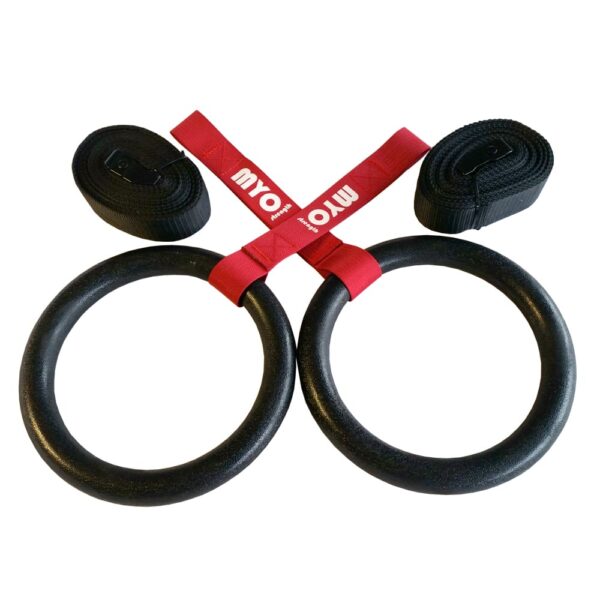 Gym Rings (Plastic)