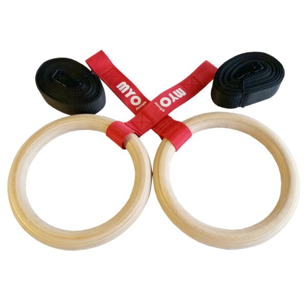 Gym Rings (Wooden)