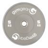 5kg Coloured Bumper Plate