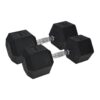 15kg Pro Hex Dumbbells