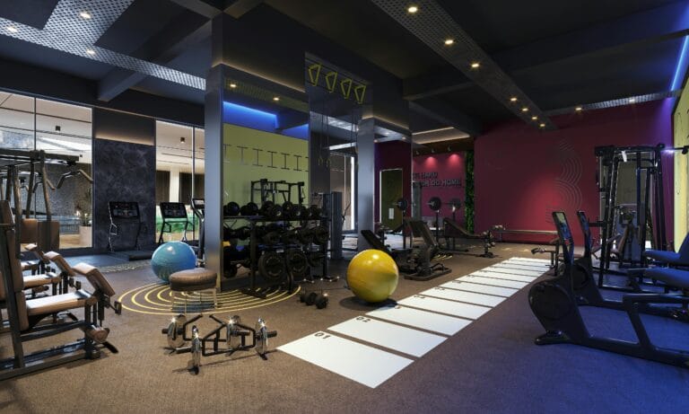 High-Performance Commercial Gym