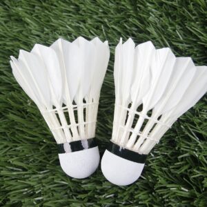 badminton, sports, shuttlecock, badminton, badminton, badminton, badminton, badminton, shuttlecock