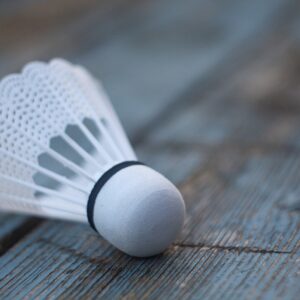 shuttlecock, sport, badminton, game, hobby, activity, badminton, badminton, badminton, badminton, badminton