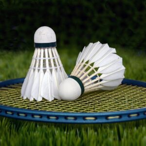 Badminton 925Health