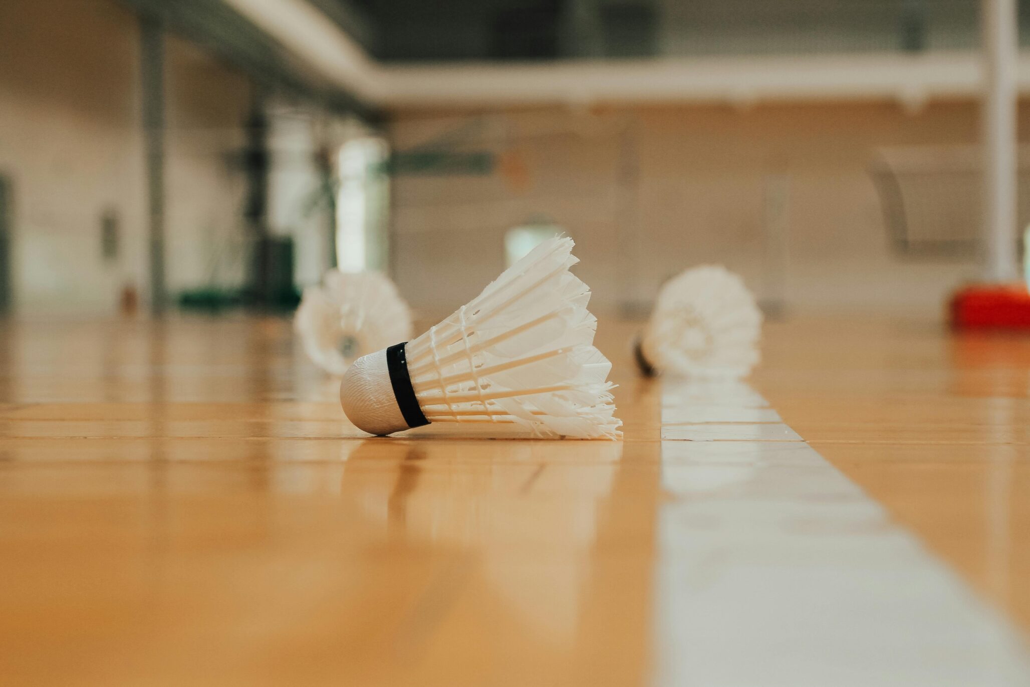 Ground Level Of Similar Plastic Shuttlecocks Reflecting On Bright Shiny Floor With Marking Line